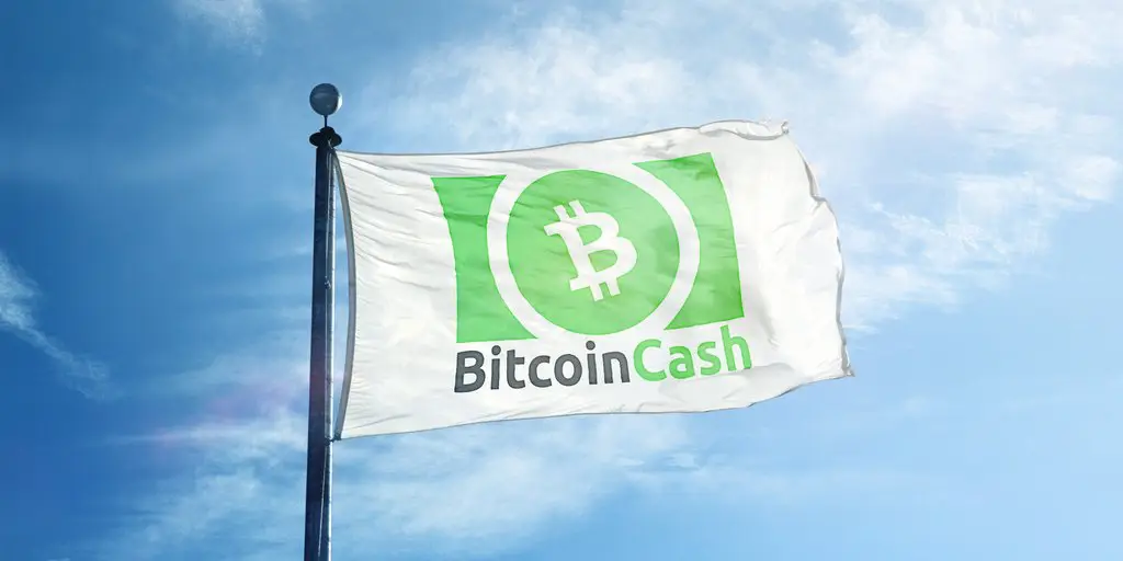 ما هو Bitcoin Cash (BCH)؟