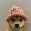 دوج ويذ هات (DOGWITHAT)