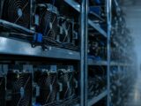 سوق بيتكوين الهابطة هذه الدورة يظهر قاعًا أعلى من السابق