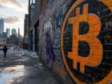 رئيس الاستثمار في Bitwise يرى أن بيتكوين وتوكنات الوقود تحفزان الدورة القادمة للعملات الرقمية