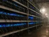 فريق بيتكوين الأحمر يكشف عن 1,288 ثغرة ويلجأ للذكاء الاصطناعي الصيني بعد حظر OpenAI