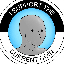 العملة غير القابلة للعب (Non-Playable Coin – NPC)