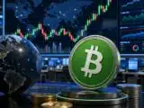 بيتكوين كاش ترتفع بنسبة 28.76% بينما أكيدو تهبط بنسبة 16.16% في جلسة متقلبة