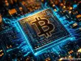 استطلاع بيتوايز يكشف أن جميع المؤسسات تمتلك بيتكوين، لكن تختلف في الغرض