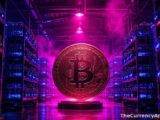 تدفق صناديق إيثريوم المتداولة يصل إلى 216 مليون دولار بينما تواجه صناديق بيتكوين نزوحًا بقيمة 463 مليون دولار