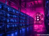 سايلور يدافع عن بيتكوين ضد انتقادات كالاكانيس مع بلوغ سعرها 80 ألف دولار