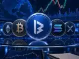 بيتواي ترتفع بنسبة 29.14% لتتصدر الرابحين بينما تنخفض ميم كور بنسبة 5.13%