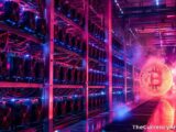 البيتكوين يواجه ضغط جني الأرباح وسط إشارات سانتيمنت لفخ الدببة
