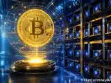 معدل هاش بيتكوين يقفز 45% عن قاع يوليو مع توسع شركات التعدين